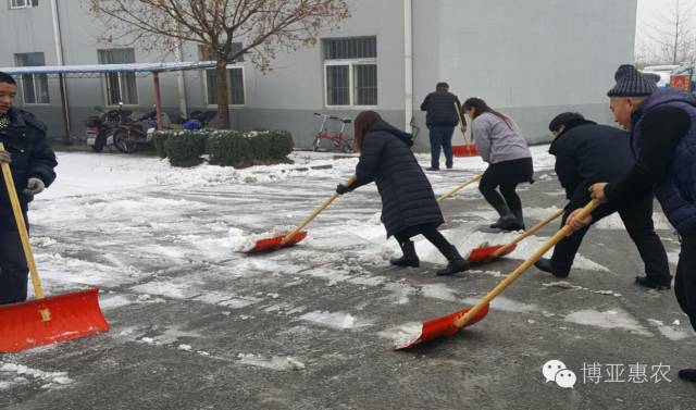 瑞雪兆丰年 劳动最快乐——公司组织员工开展扫