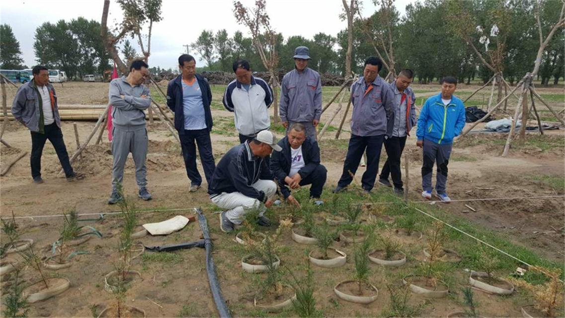 用实际行动诠释新农人本色