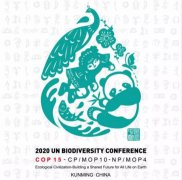 2020年联合国生物多样性大会会标发布